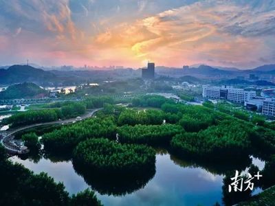 文章附图