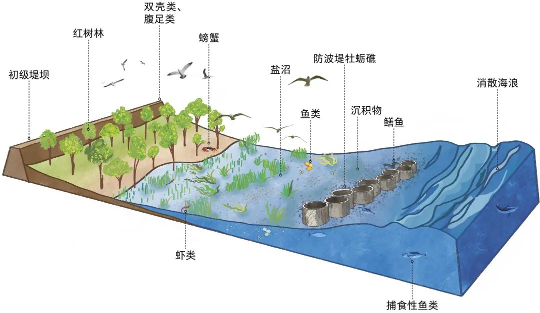 什么是海洋生态系统？ 广东省国土空间生态修复协会 5490