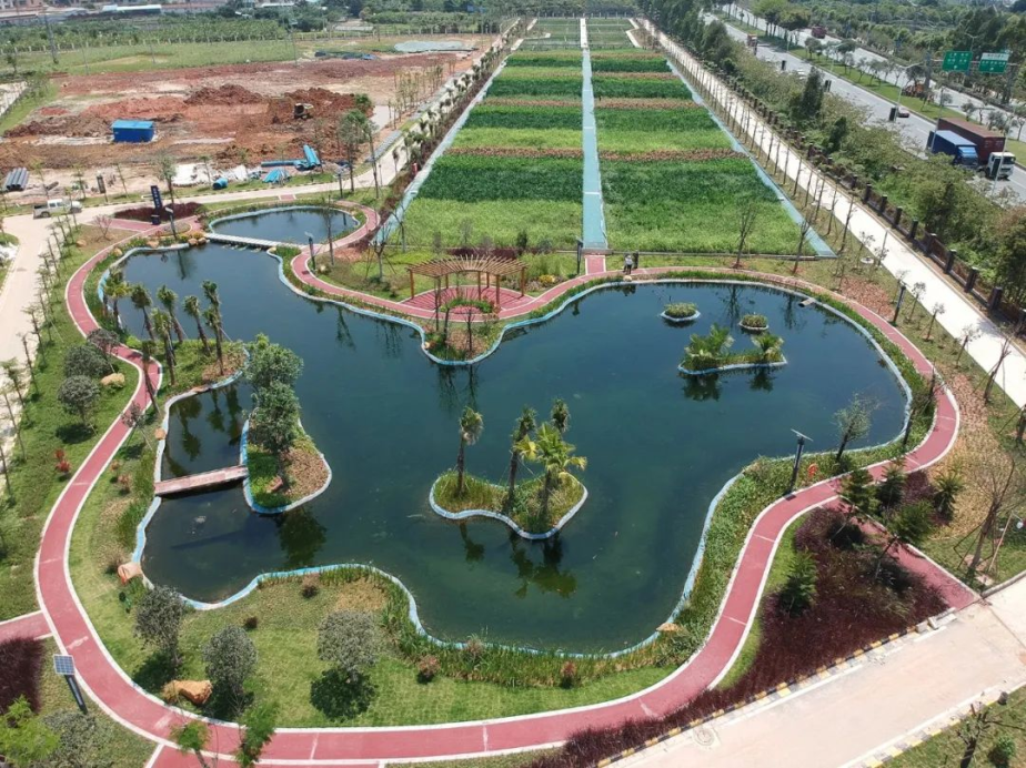 广东公布首批小微湿地示范点名单,共15处小微湿地入选 - 广东省国土空间生态修复协会