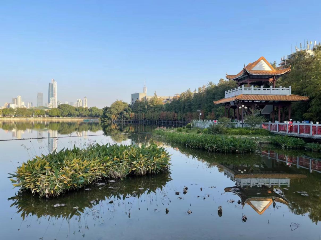 广东公布首批小微湿地示范点名单,共15处小微湿地入选 - 广东省国土空间生态修复协会