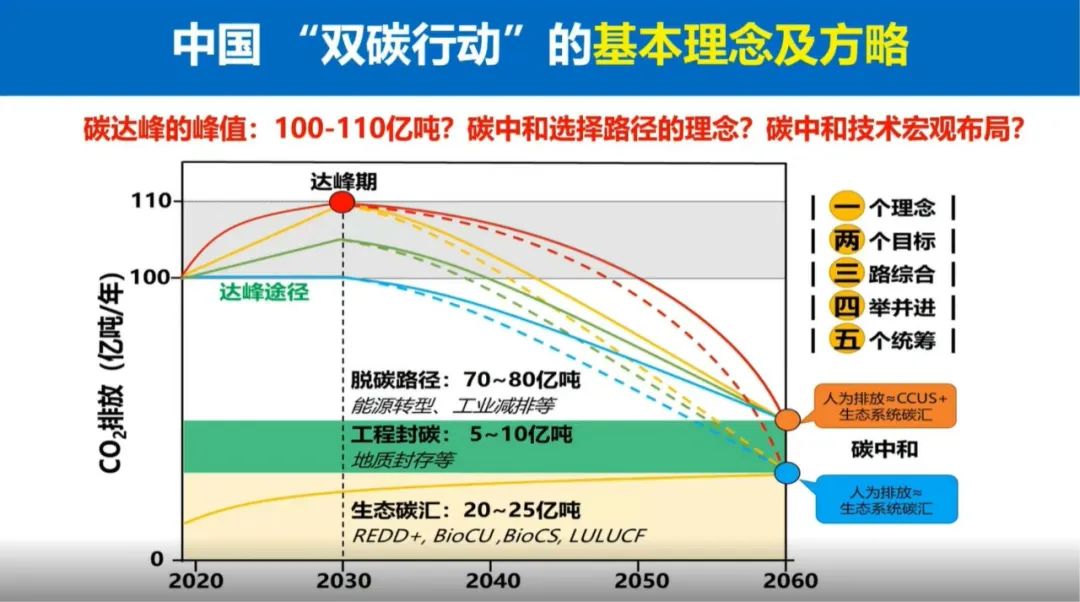 陆地生态系统的碳汇潜力及增汇技术途径 - 广东省国土空间生态修复协会