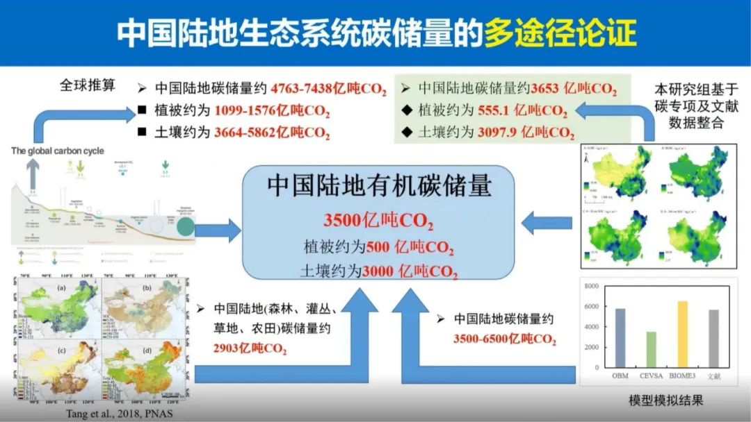 于贵瑞院士:陆地生态系统的碳汇潜力及增汇技术途径 - 广东省国土空间生态修复协会