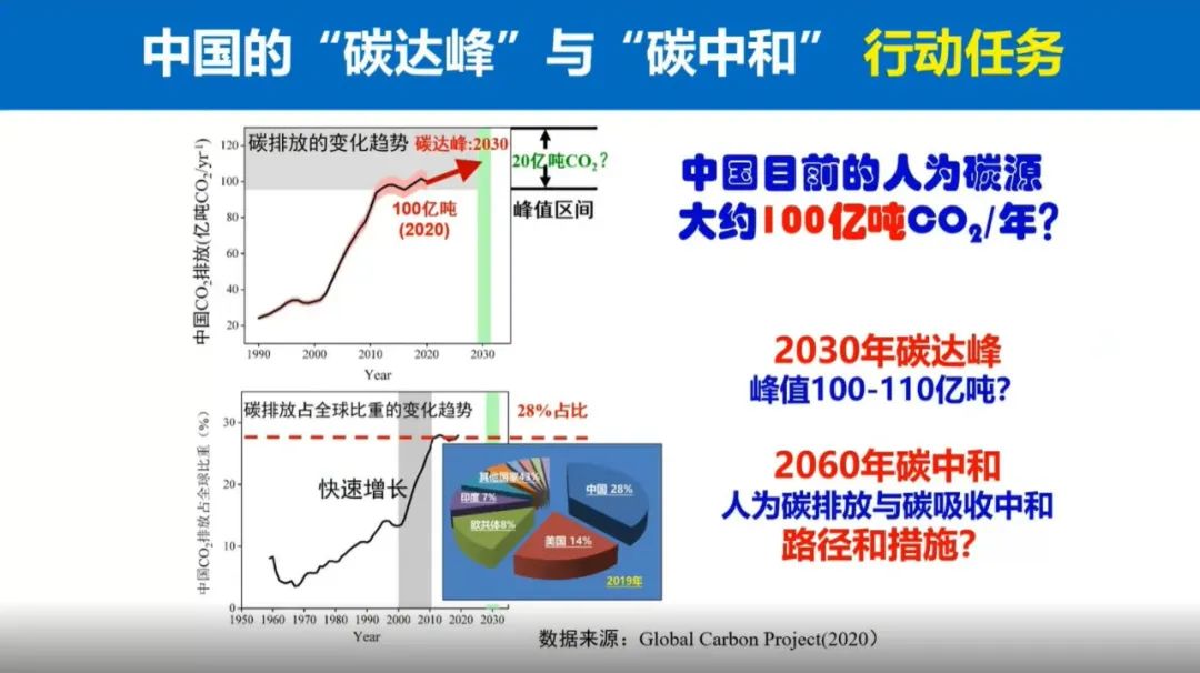 陆地生态系统的碳汇潜力及增汇技术途径 - 广东省国土空间生态修复协会