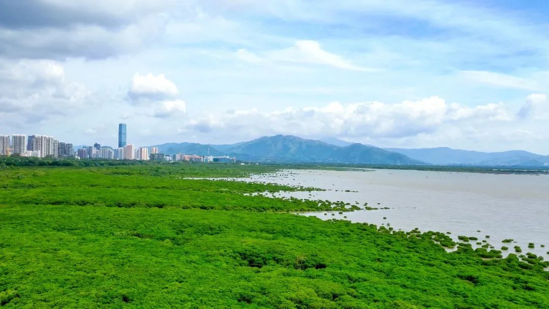 深圳发布生态保护修复规划,共建和美宜居家园 - 广东省国土空间生态修复协会
