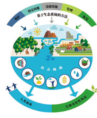 基于自然解决方案全球标准中文版及中国实践典型案例发布